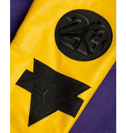 Бомбер чоловічий Air Jordan Dna Violet AT9958-504