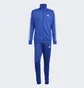 Спортивный костюм мужской Adidas Basic 3-Stripes Tricot Tracksuit Blue IC6761