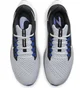 Кроссовки мужские Nike Air Zoom Pegasus 38 Grey CW7356-006