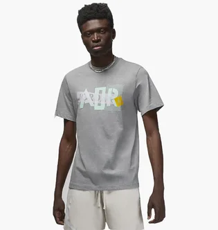 Футболка мужская Air Jordan Brand Graphic T-Shirt Grey DM1426-091