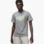 Футболка мужская Air Jordan Brand Graphic T-Shirt Grey DM1426-091