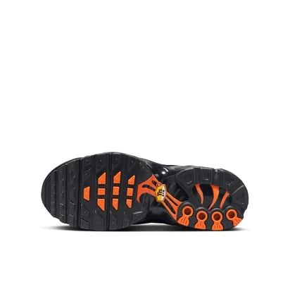 Кроссовки детские Nike Air Max Plus Beige/Black FV6915-001