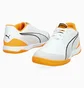 Футзалки мужские Puma Ibero Iv White 107418-04