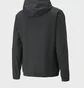 Ветровка мужская Puma Teamrise All Weather Black 657396-04