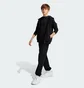 Толстовка дитяча Adidas All Szn Black IX9448