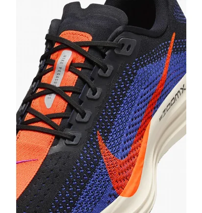 Кросівки чоловічі Nike Pegasus Plus Road Running Shoes Blue FQ7262-008
