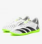 Футзалки унісекс Adidas Predator Accuracy.4 In Sala White GY9986
