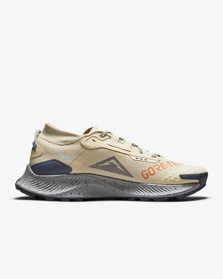 Кроссовки мужские Nike Pegasus Trail 3 Gtx Beige DC8793-200