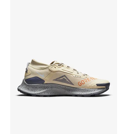 Кросівки чоловічі Nike Pegasus Trail 3 Gtx Beige DC8793-200