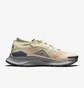 Кросівки чоловічі Nike Pegasus Trail 3 Gtx Beige DC8793-200