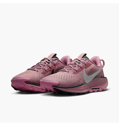 Кросівки жіночі Nike Pegasus Trail 5 Gtx Pink/Violet DV3865-500