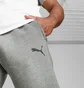 Штаны мужские Puma Teamcup Casuals Pants Grey 657988-013