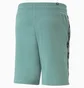 Шорты мужские Puma Essentials+ Tape Turquoise 847387-85