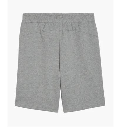 Шорты мужские Puma Teamgoal Casuals Shorts Grey 658608-33