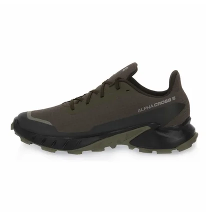 Кросівки чоловічі Salomon Alphacross 5 Gtx Olive 473103