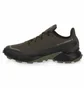 Кросівки чоловічі Salomon Alphacross 5 Gtx Olive 473103