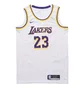 Майка чоловіча Nike Nba Los Angeles Lakers Lebron James Association Edition Swingman White CW3595-101