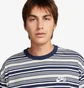 Футболка чоловіча Nike Sb Tee M90 Stripe Sp24 Grey FQ3711-410