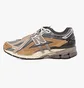 Кроссовки мужские New Balance 1906A Great Plains Grey U1906AA