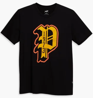 Футболка чоловіча Puma Dylan Logo Black 678787-01