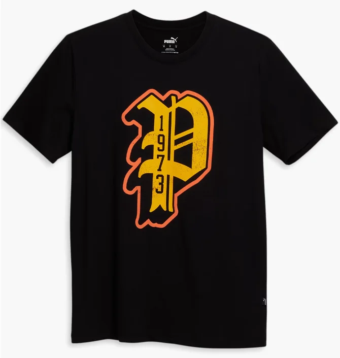 Футболка мужская Puma Dylan Logo Black 678787-01