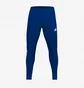 Штаны мужские Adidas Tiro 21 Training Pant Blue GJ9870