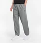 Штаны мужские Puma Classics Grey 532139-03