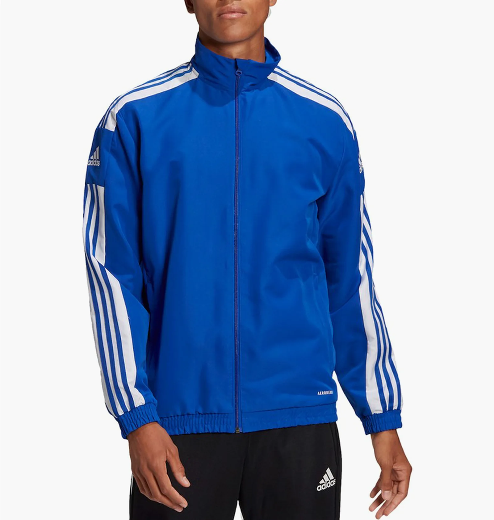 ᐉ Куртка чоловіча Adidas Sq21 Pre Jkt Blue Gp6445 - придбати в