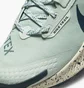 Кроссовки женские Nike Pegasus Trail 3 Gore-Tex Light Blue DC8794-003