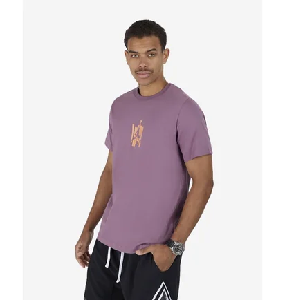 Футболка мужская Air Jordan Brand Graphic Tee Violet FD7025-508