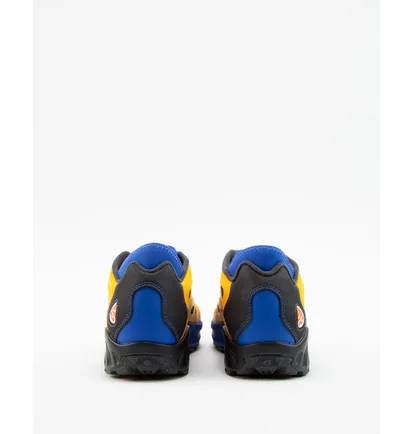 Кроссовки мужские Nike Acg Air Exploraid Hyper Royal Multi FJ1920-400