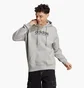 Худи мужское Adidas All Szn Fleece Graphic Hoodie Grey Ic9772