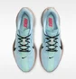 Кросівки чоловічі Nike Pegasus Plus Blue FQ7262-406