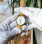 Часы женские Casio Timeless Collection LTP-VT01GL-7B