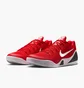 Кроссовки мужские Nike Kobe Ix Elite Low Em Protro Red IH1401-600