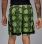 Шорты мужские Air Jordan Dri-Fit Mesh Diamond Green HF9907-358