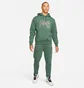 Худи мужское Air Jordan Paris Saint-Germain Statement Fleece Pullover Green DB6496-333