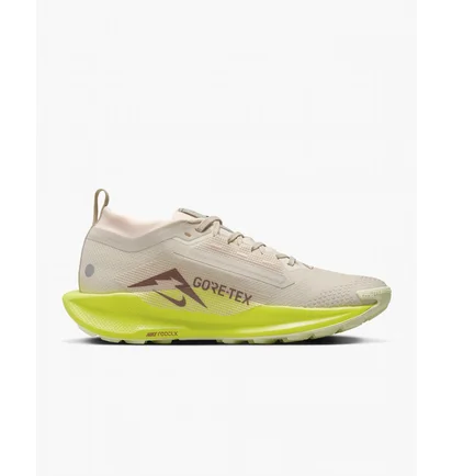 Кроссовки женские Nike Pegasus Trail 5 Gore-Tex Waterproof Trail Running Shoes Beige FQ0912-101