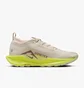 Кроссовки женские Nike Pegasus Trail 5 Gore-Tex Waterproof Trail Running Shoes Beige FQ0912-101