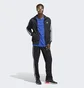 Куртка мужская Adidas Adicolor Classics Firebird Track Jacket Grey Ia6340