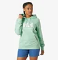 Худи женское Helly Hansen Logo Hoodie Green 33978-419