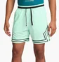 Шорты мужские Air Jordan Df Sprt Wvn Dmnd Green FQ2989-353