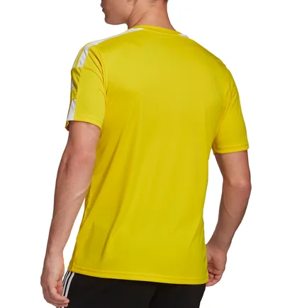 Футболка чоловіча Adidas Jersey Squad 21 Jsy Ss Yellow GN5728