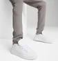 Штаны мужские Puma Evostripe Pants Grey 684614-79