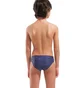 Плавки мужские Arena Snakeskin Swim Briefs Blue 010162-700