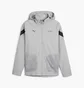 Куртка чоловіча Puma Mercedes Amg Petronas Motorsport Grey 623739-02