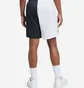 Шорты мужские Nike Dri-Fit Shorts Black/White Dh7164-101