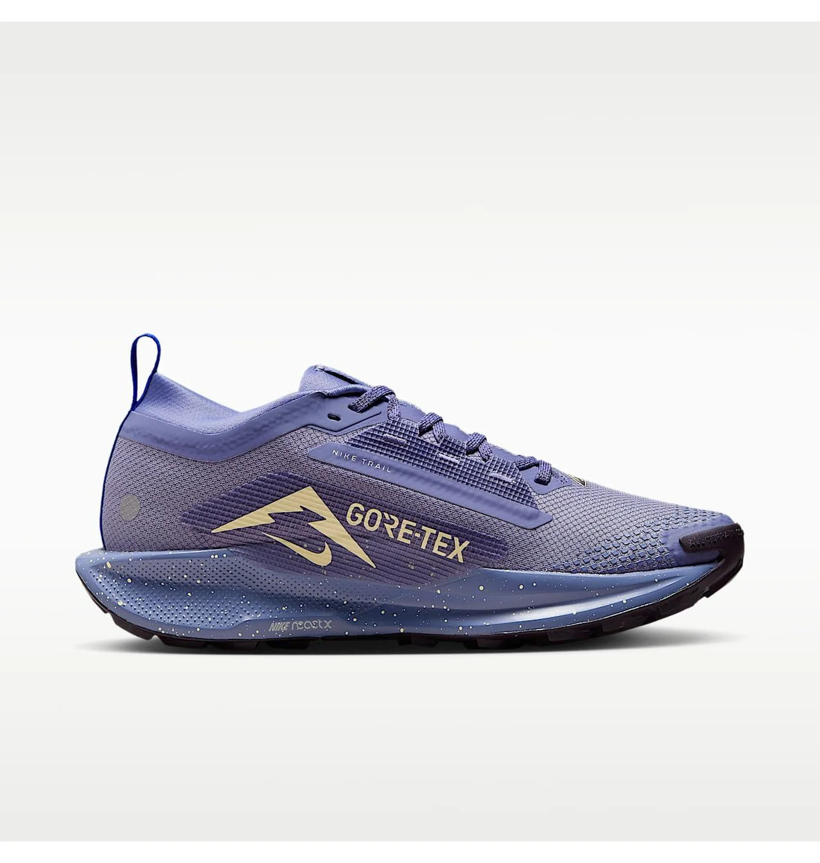ᐉ Кроссовки женские Nike W Pegasus Trail 5 Gtx Blue FQ0912-402