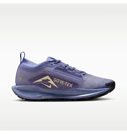 Кроссовки женские Nike W Pegasus Trail 5 Gtx Blue FQ0912-402