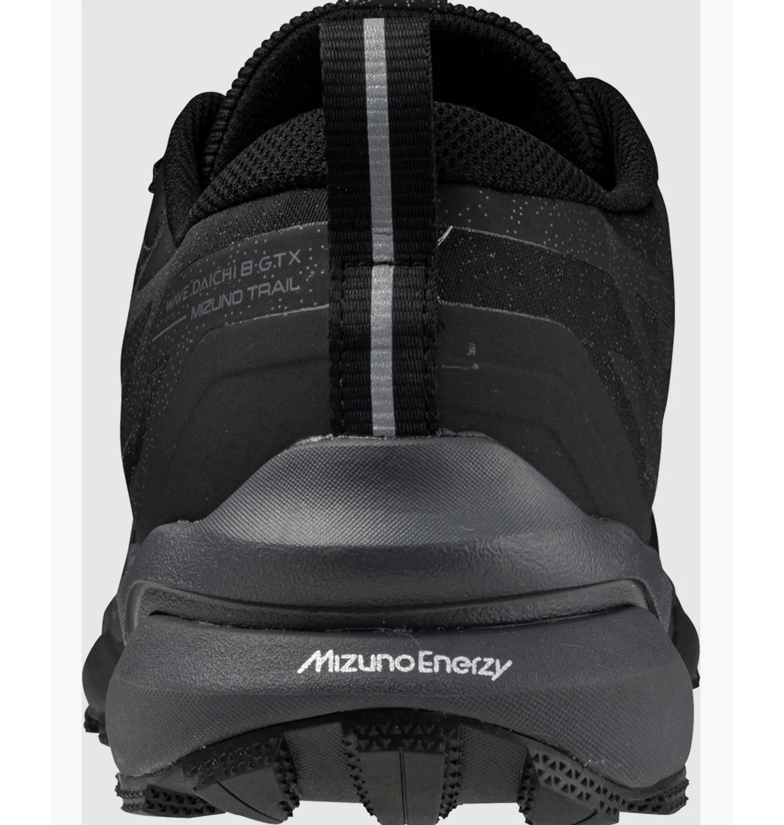 ᐉ Кросівки унісекс Mizuno Wave Daichi 8 Gtx Black J1GJ245601